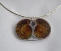 5_Ammonite-and-silver-detail