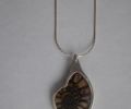Small-ammonite-and-silver-pendant-2