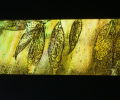Bough-26.5X10cm-