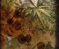 Conkers