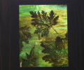 Dark-leaves-16.5X13cm-