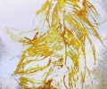 Golden Feather